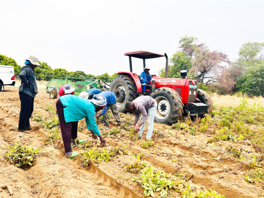 Oshikunino kEtunda osha tameka okuteya oihakautu