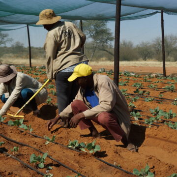 Farmers’ Kraal with Hanks Saisai – Transform your farm into a generational enterprise