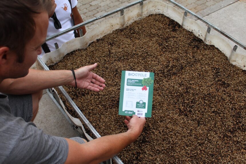 Fly Farmer 3 Farming with black soldier flies in Namibia …supplementing food security