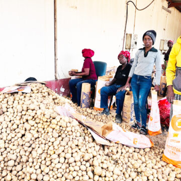 Epangelo la faneka eshunifopedu loikulya yokondje …eetona 54 000 ohadi di kondje yoshilongo 