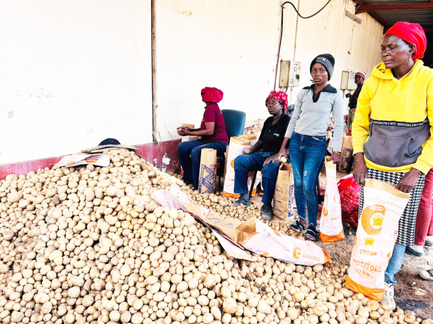 Epangelo la faneka eshunifopedu loikulya yokondje …eetona 54 000 ohadi di kondje yoshilongo 