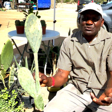 From politics to ploughs …ex-mayor ventures into agriculture