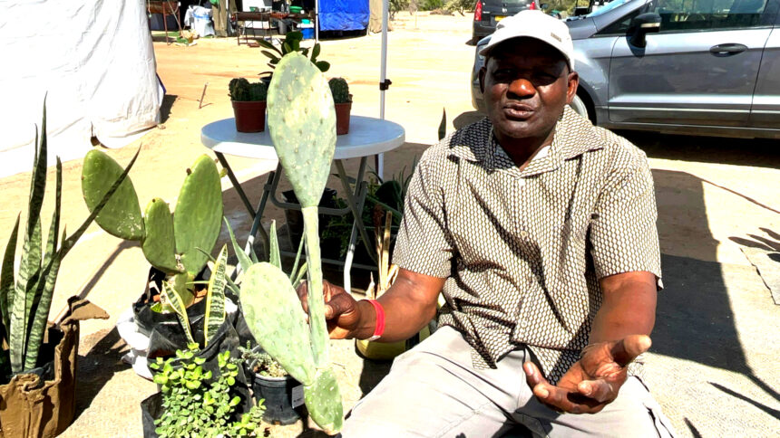 From politics to ploughs …ex-mayor ventures into agriculture