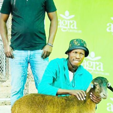 Ovaṱuta omitanda ovaute ngave ute nozonḓu nu ve honahone 