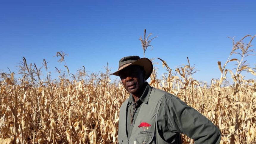 Ex-health minister thrives in farming