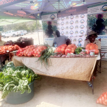 Call to unlock Zambezi’s farming potential