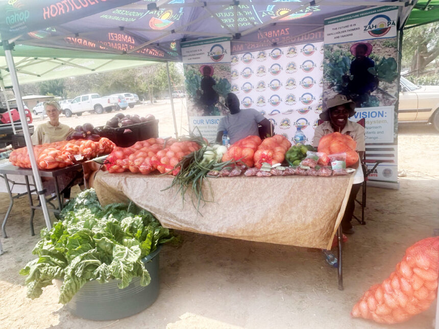 Call to unlock Zambezi’s farming potential