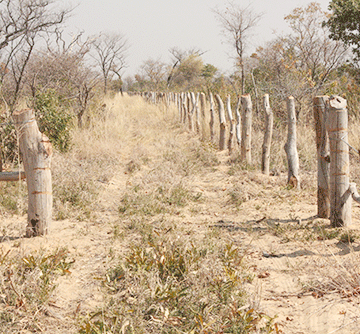 Land bill Elimination of communal land fencing on the cards