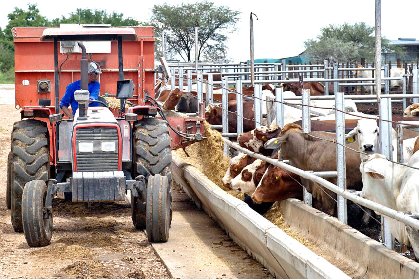 Meatco 1 Meatco to invest more in two Kavango regions …farmers set to benefit