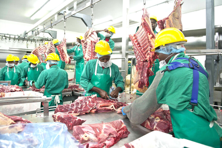 Meatco delivers on Norwegian quota …gets A+ grade certification