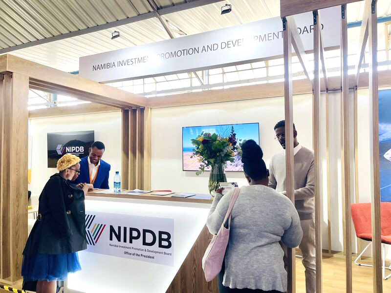 NIPDB IPPR questions the role of NIPDB