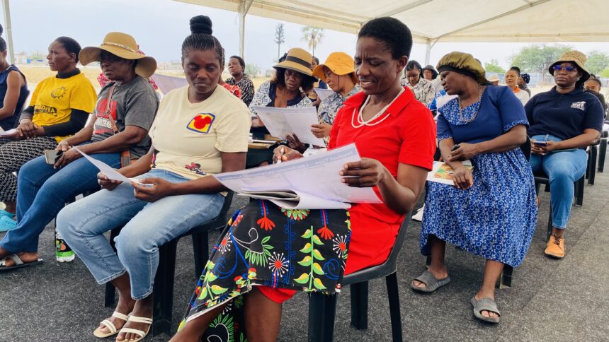 Habashu moNamibia …NHE ota ka tunga omaumbo aaveshe