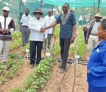 Ounamapya mOkongo wa shuna kofoola 