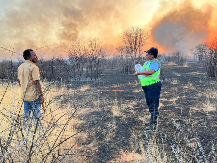 Etosha fire brought under control …President vows to protect the ‘national treasure’