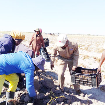 Ondonga food sucess Va indilwa va yandje omadu okulonga oikulya …Omukwaniilwa waNdonga a holola nghene a dipaa ondjaba nekuma