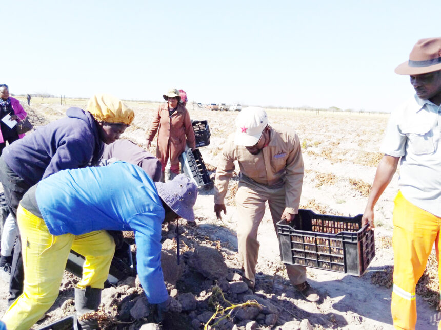 Va indilwa va yandje omadu okulonga oikulya …Omukwaniilwa waNdonga a holola nghene a dipaa ondjaba nekuma