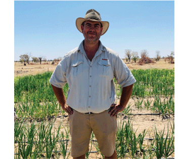 A hokwa ounafaalama womonooli