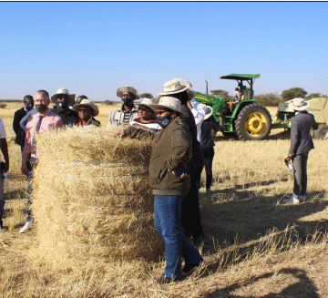 Omalalakano oku eta po oikulya koNYS a fuula epangelo