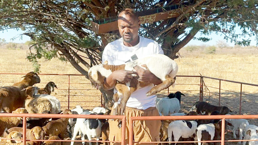 Kaunatjike recommends the Meatmaster