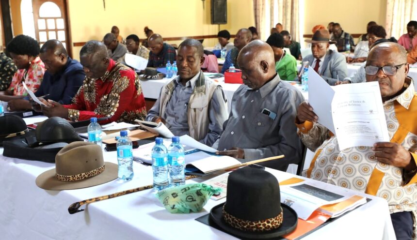 Tradition Ministry not mandated to choose chiefs – !Nawases-Taeyele