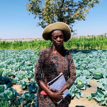 Va hala oku longela oshiwana oipalwifa