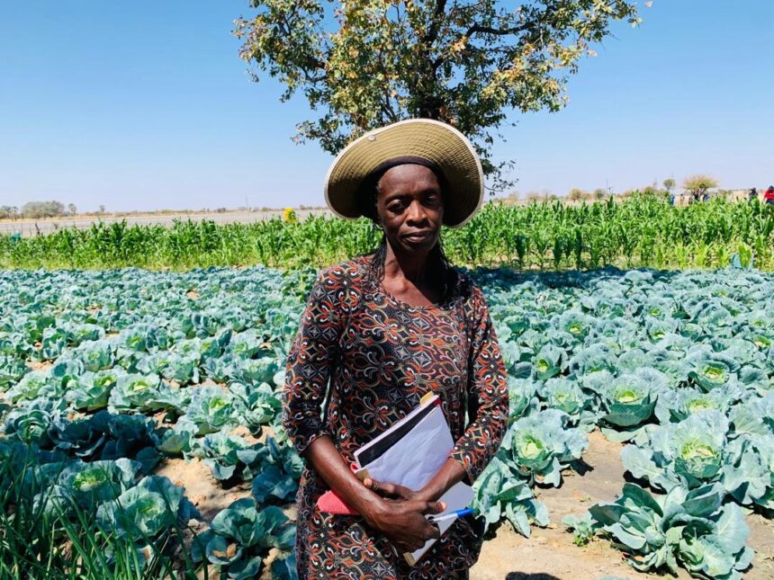 Va hala oku longela oshiwana oipalwifa