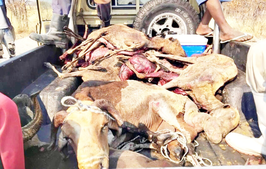 Epeya: Uulithilo wa hanagulwa po, iimuna ya si