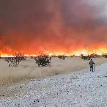 Oshigwana shahala okwiiyamba okukadhima omulilo