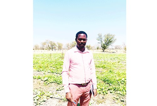 NAB tightens vendor registration amid Angolan produce concerns