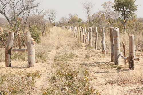 ǀHûǁ­arebese ra ǂgari-aihe !hū!âde ǁgâuǂnamis ge ǀaweǁ­guib !oa nî ǀariǂuihe