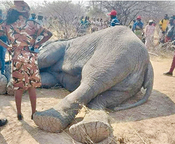 Kahenge okomakala opo kuamenwe oshiwana