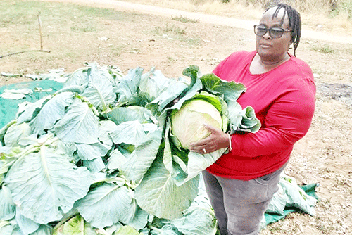 Farama zaEtunda kazi geve uhwi kovanadorongo nokovanasure