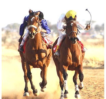 Excitement builds for Alex Angermund race day