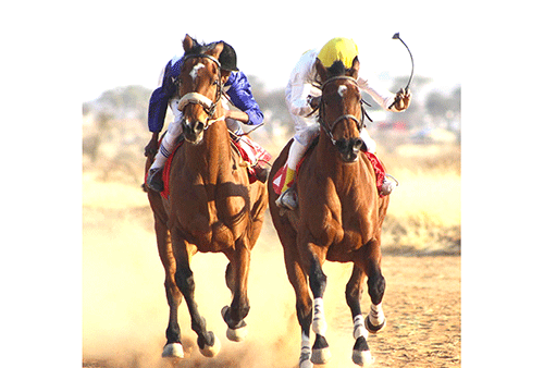 Excitement builds for Alex Angermund race day