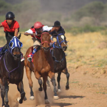 Horses jpg De Waal wants to see horse racing across country