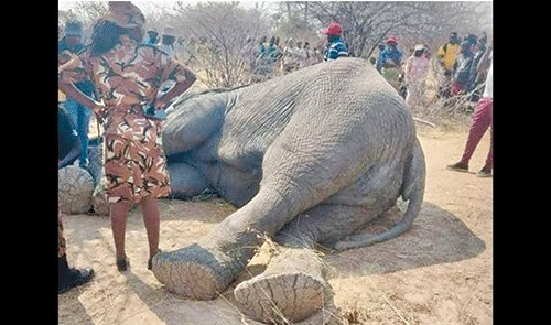 Khoen tsî !Aub di ǀgurun ǁaegu ra hâ !omgudi ge ǀhûǁarebese nî !kham!oahe