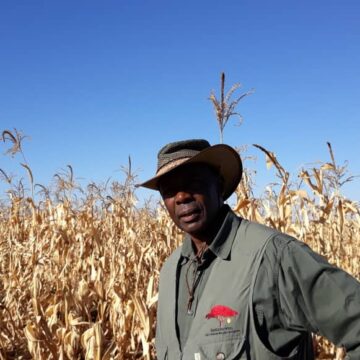 Ex-health minister thrives in farming