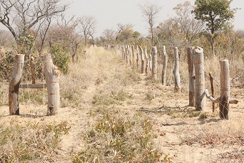 Elimination of communal land fencing on the cards