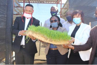 Farmers receive hydroponic greenhouse structures