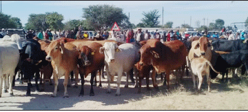 Anti-stock theft taskforce calls for cooperation