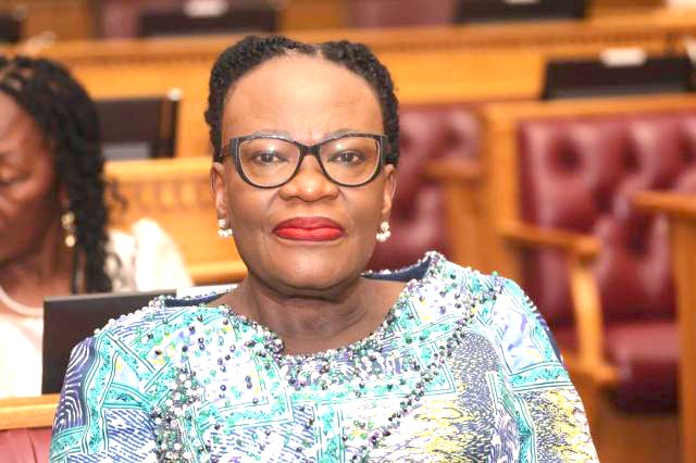 Namibia drums up support for Cuba