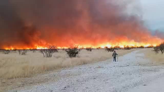 Oshigwana shahala okwiiyamba okukadhima omulilo