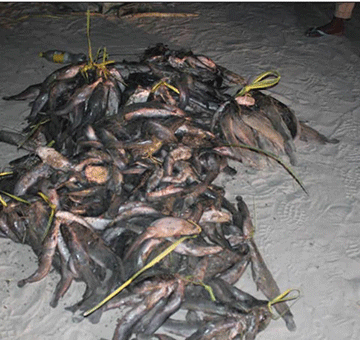 Opolifi ya londwela ekwato leeshi lomaufiku 