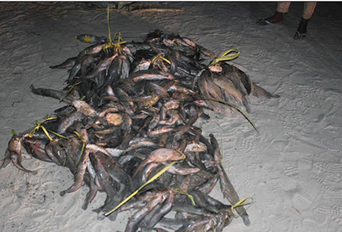 583242411_1247679470739235_1664040864878379211_n Opolifi ya londwela ekwato leeshi lomaufiku