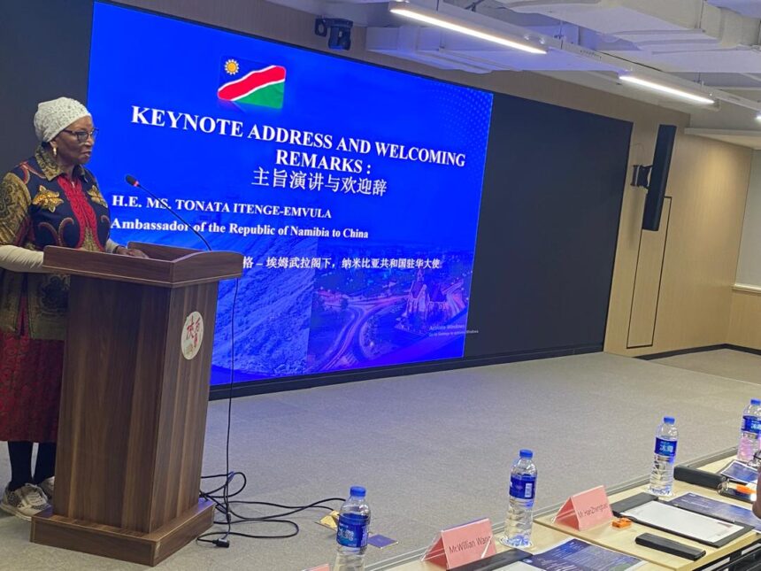 Oil, green hydrogen, agri top Nam’s agenda … as new ambassador to China asserts tone