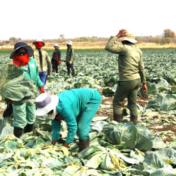 Agribank collaborates with AMTA to empower farmers …food production, employment creation prioritised 