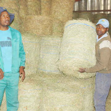 Farmers’ Kraal with Erastus Ngaruka – Farmers must know, understand grasses