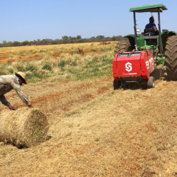 Farmers’ Kraal with  Hanks Saisai – Farming: Building a resilient, sustainable business