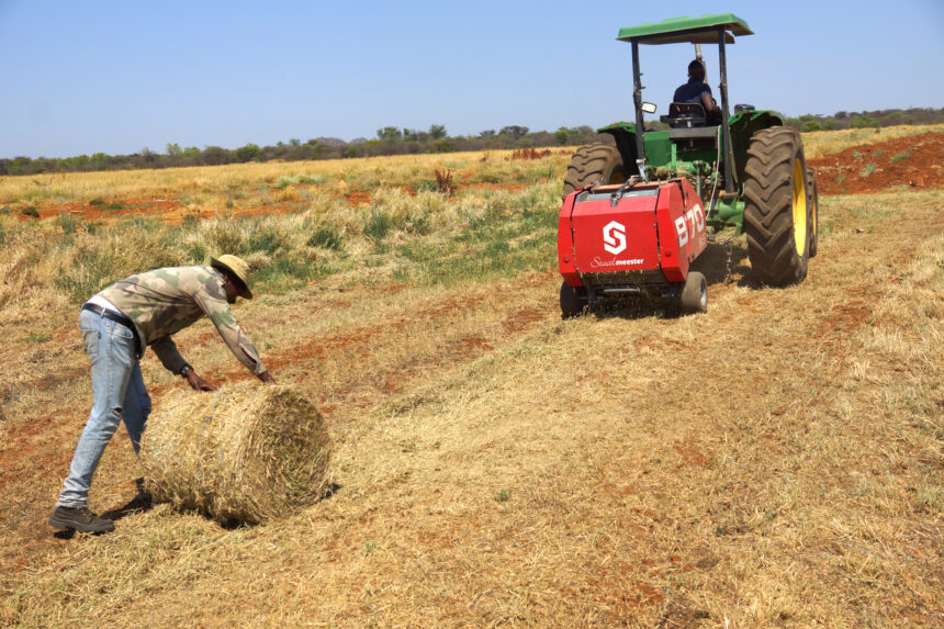 Farmers’ Kraal with  Hanks Saisai – Farming: Building a resilient, sustainable business
