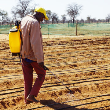 Farmers’ Kraal with Hanks Saisai – Some basics to consider during planting season